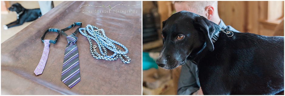 A sweet dog wears a tie with the ring clipped on his collar for this rustic backyard wedding in Sisters, OR. 