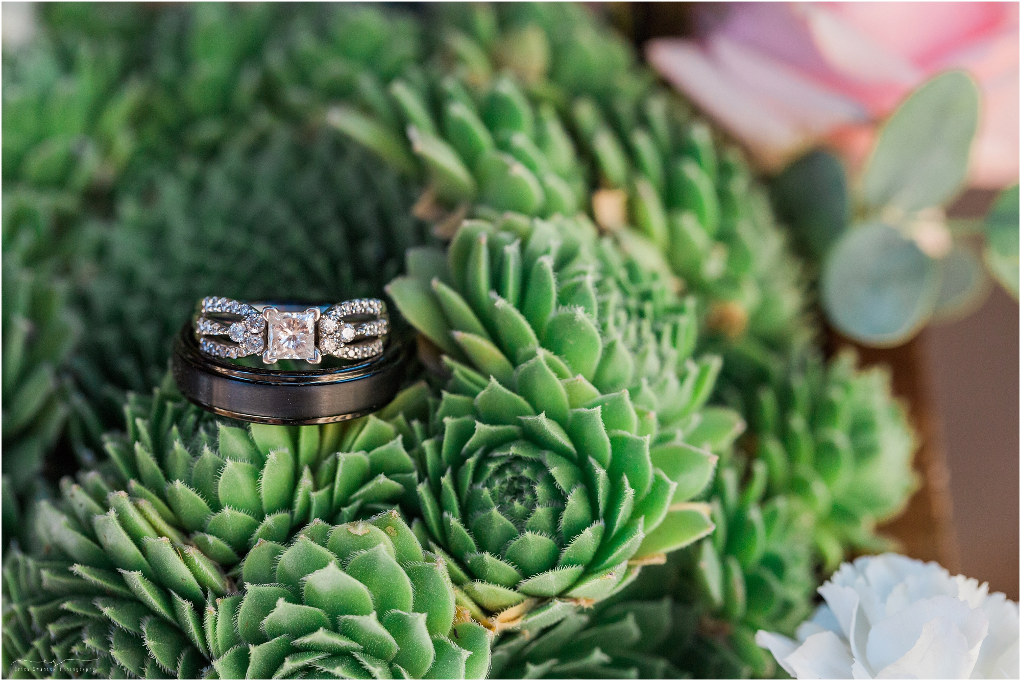 A stunning wedding ring shot among the succulents at this rustic Oregon lodge wedding in Bend, OR.