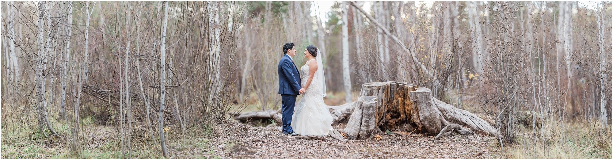 A gorgeous Brenizer composite image of a wedding couple standing in a grove of aspen trees at Shevlin Park in Bend, OR by wedding photographer Erica Swantek Photography. 