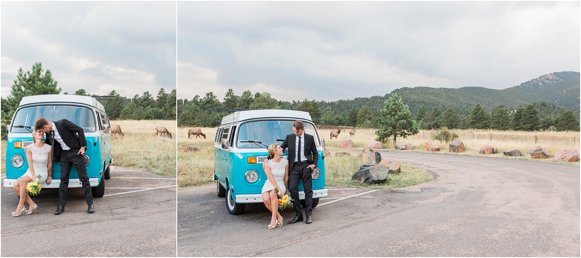 A gorgeous wedding couple poses in front of a VW van as a herd of elk wanders through the open space in the background of this Evergreen CO photographer shootout event. 