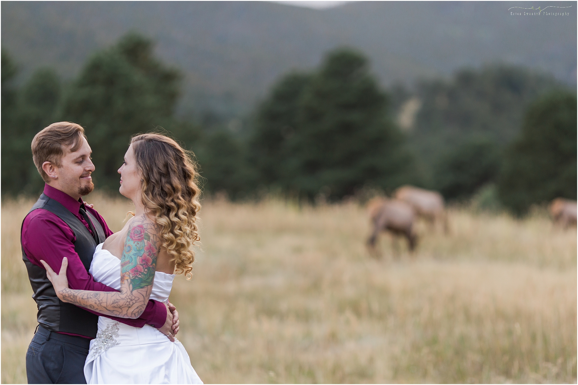 A gorgeous Colorado Rocky Mountain wedding styled shoot featuring a herd of elk wandering through Elk Meadow Open Space park in Evergreen. 