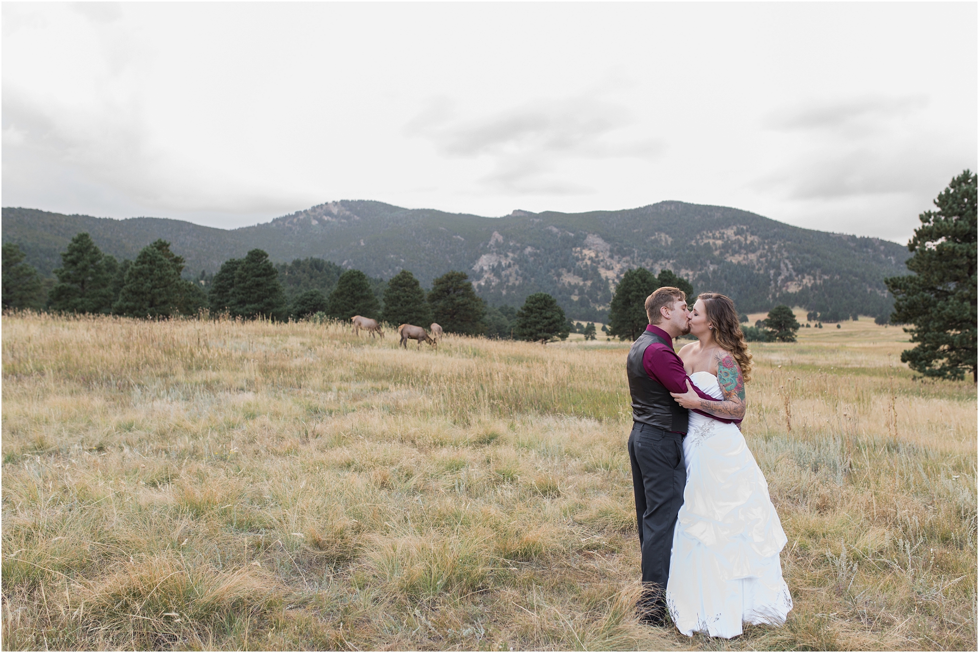 A wedding couple kisses in the meadow as a herd of elk grazes behind them at this Colorado Rocky Mountain wedding styled shoot in Evergreen. 