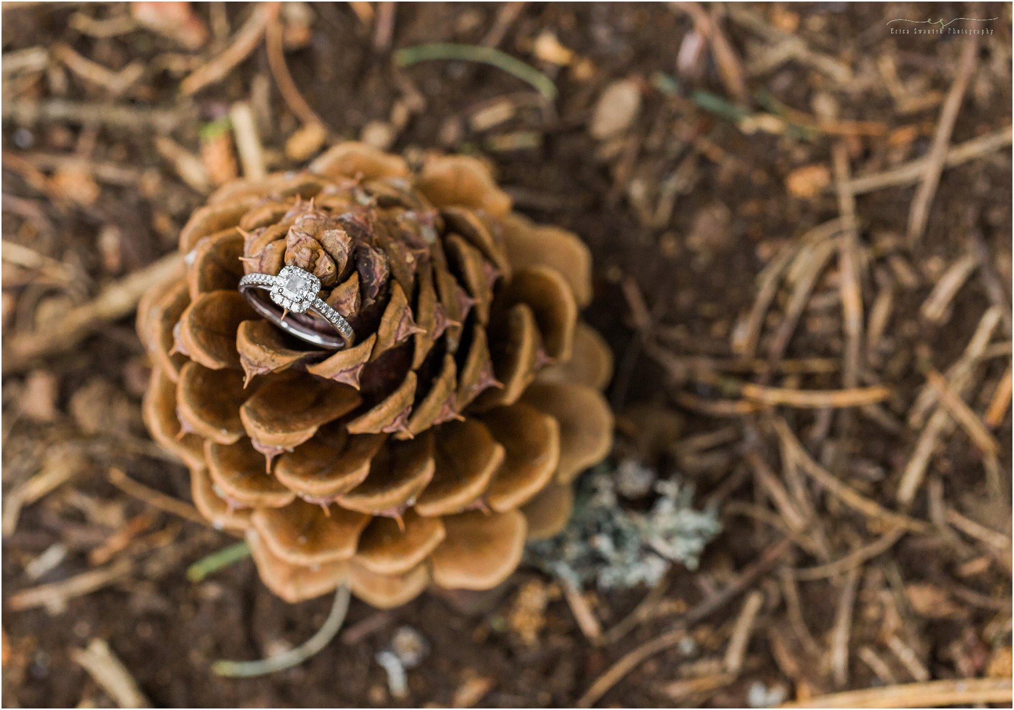 A gorgeous diamond engagement ring sitting atop a pine cone for this woodsy Deschutes river spring engagement session in Bend, OR by photographer Erica Swantek. 