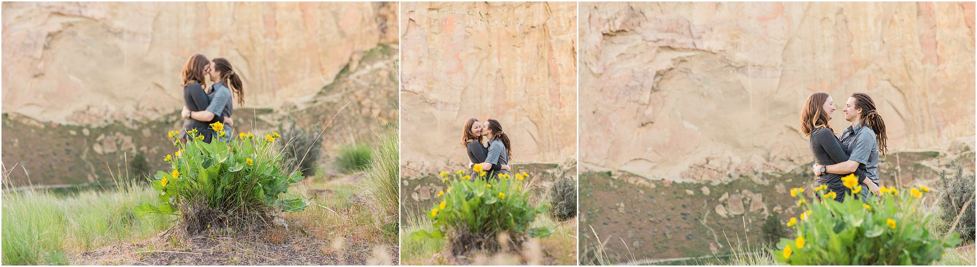 A beautiful Arrowleaf Balsamwood flower at this couple's Smith Rock engagement session in Terrebonne, OR. | Erica Swantek Photography