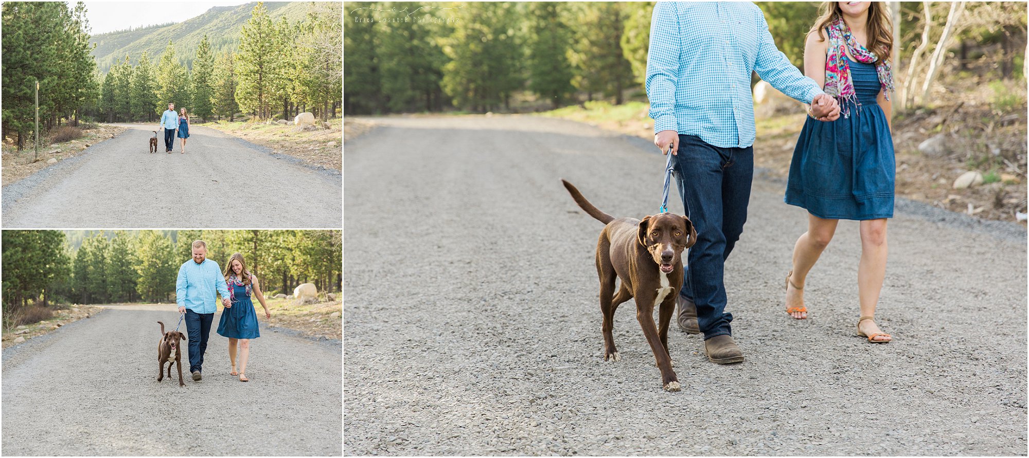Ranger, the chocolate lab, was definitely a fun part of this cute Bend, Oregon couple's engagement session at Tumalo Creek. | Erica Swantek Photography