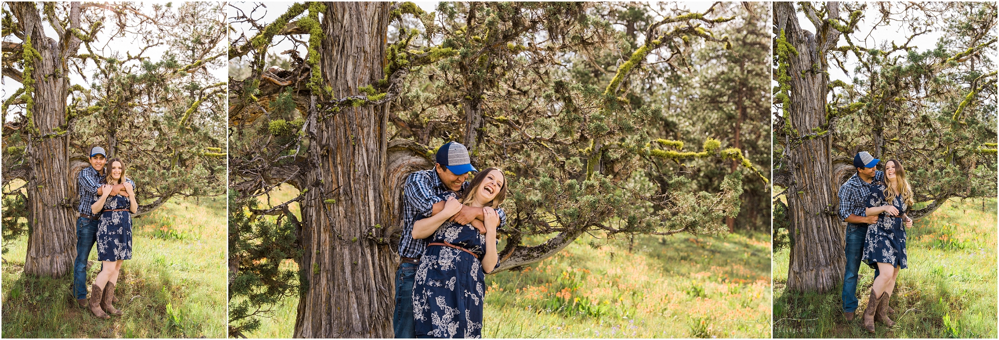 An amazing old growth juniper tree catches the light just perfect at this Oregon outdoor engagement session near Bend. | Erica Swantek Photography