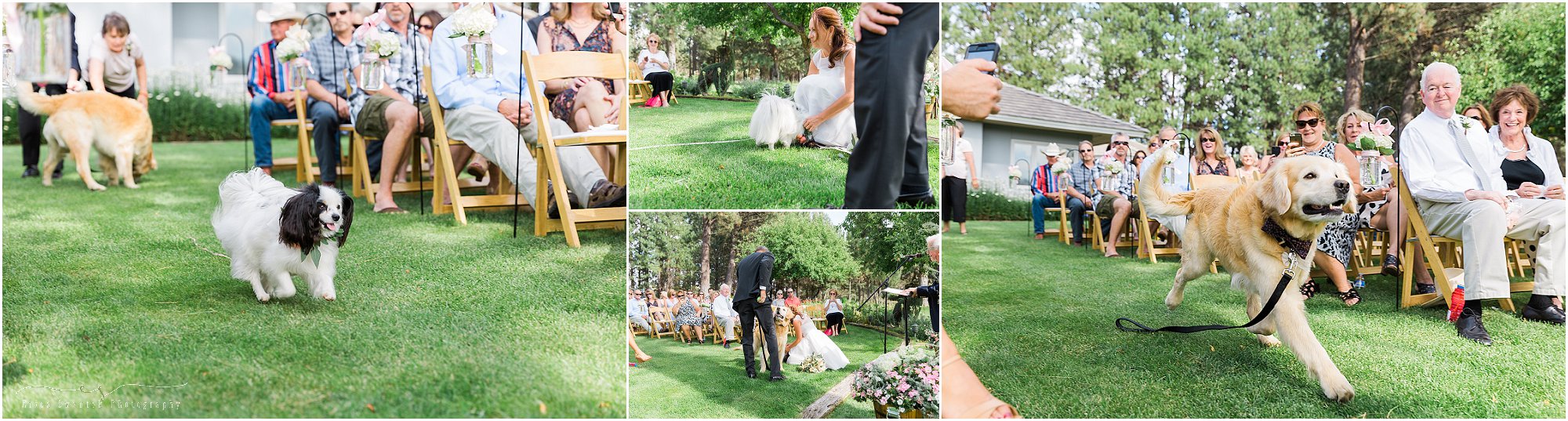 The cutest dog flower girl and ring bearer for this outdoor garden wedding in Sisters, Oregon. | Erica Swantek Photography