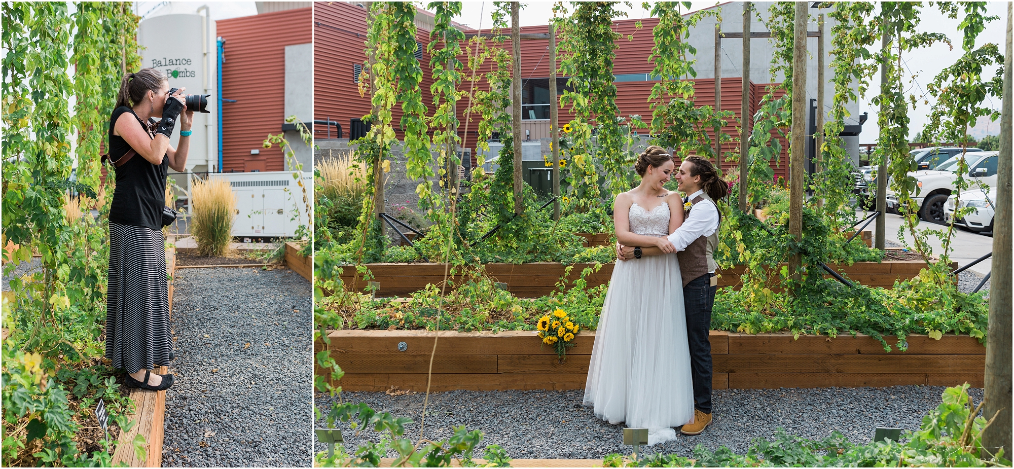 The gorgeous greenery of the hop vines against the red brick walls makes for beautiful romantic couple's portraits at a Worthy Brewing Wedding in Bend Oregon. | Erica Swantek Photography