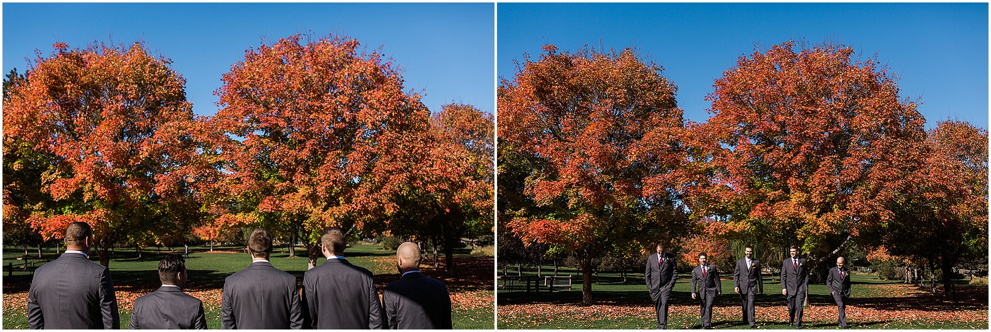 The maple trees are gorgeous for wedding photos at a Hollinshead Barn Fall Wedding in Bend, OR. | Erica Swantek Photography