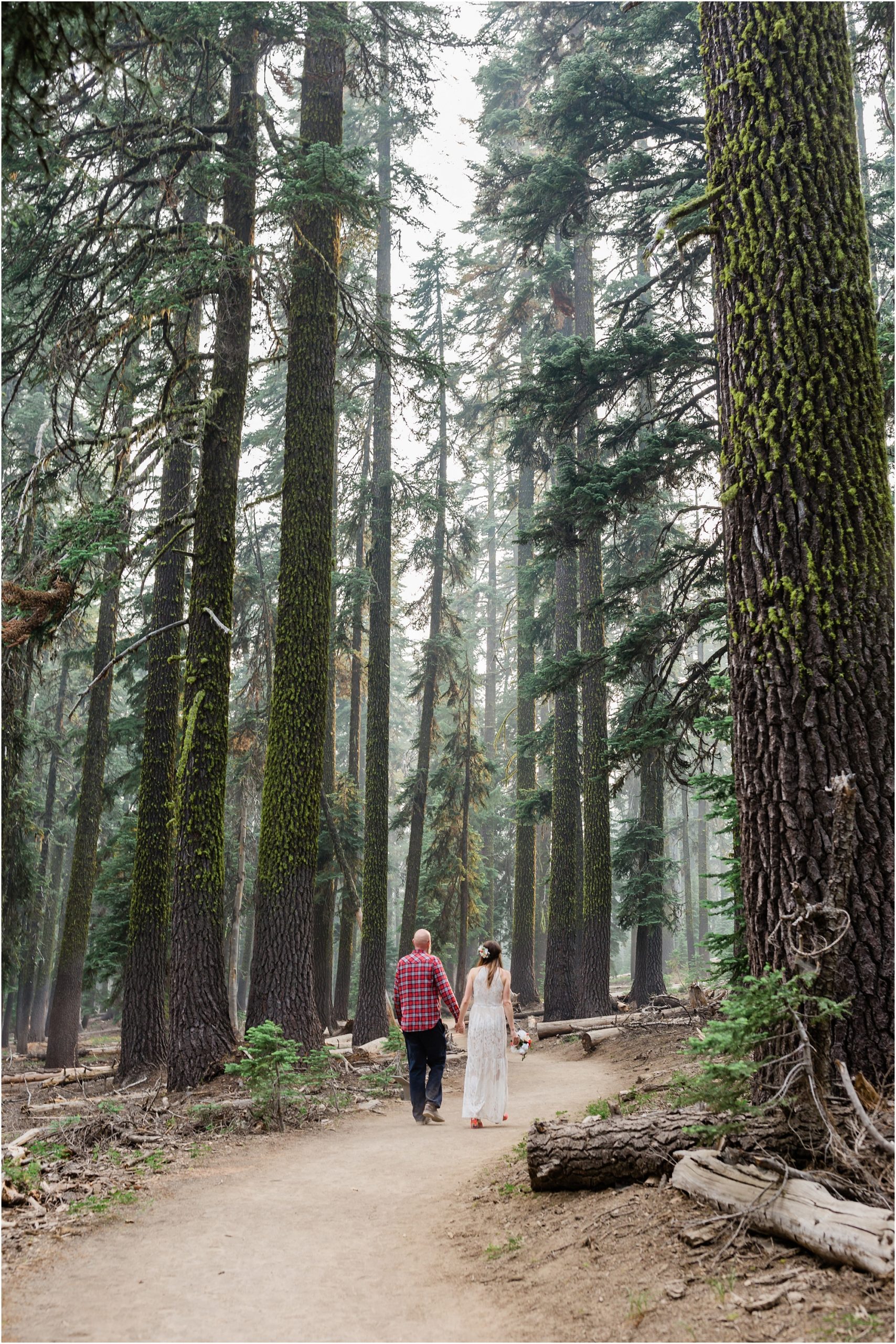 Tall fir trees with soft light filter through onto the hiking trail as a wedding couple walks along hand in hand after their Crater Lake elopement. | Erica Swantek Photography