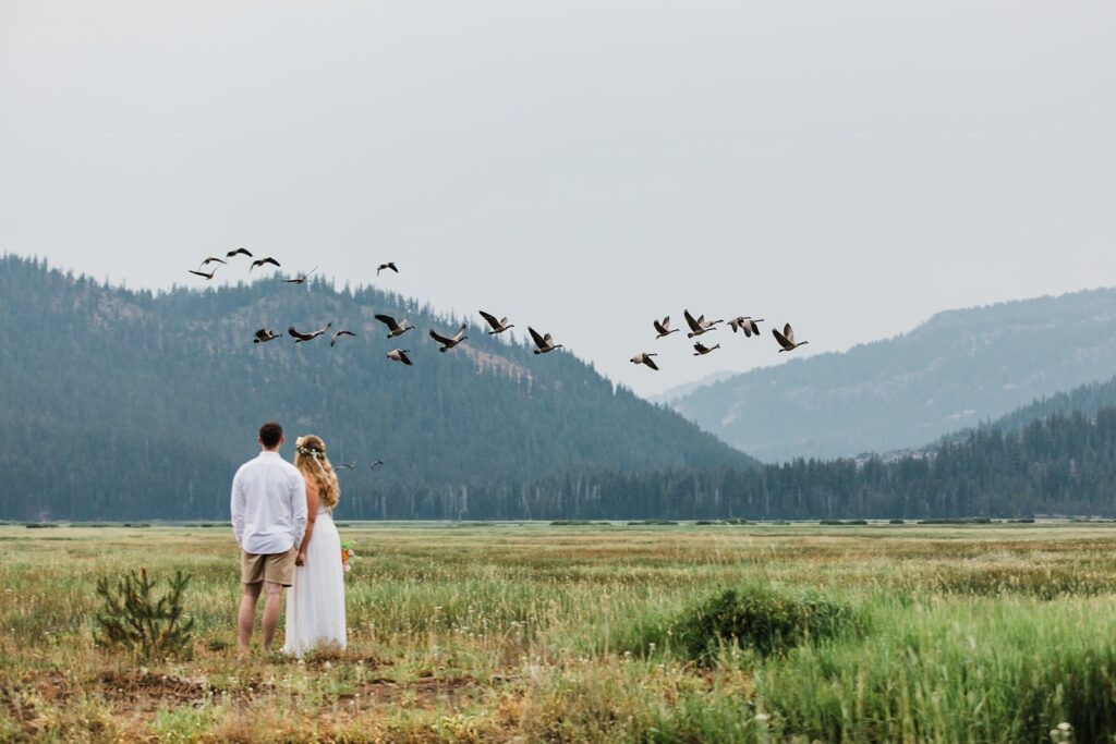 elopement couple standing in a field with mountain views with birds flying over head