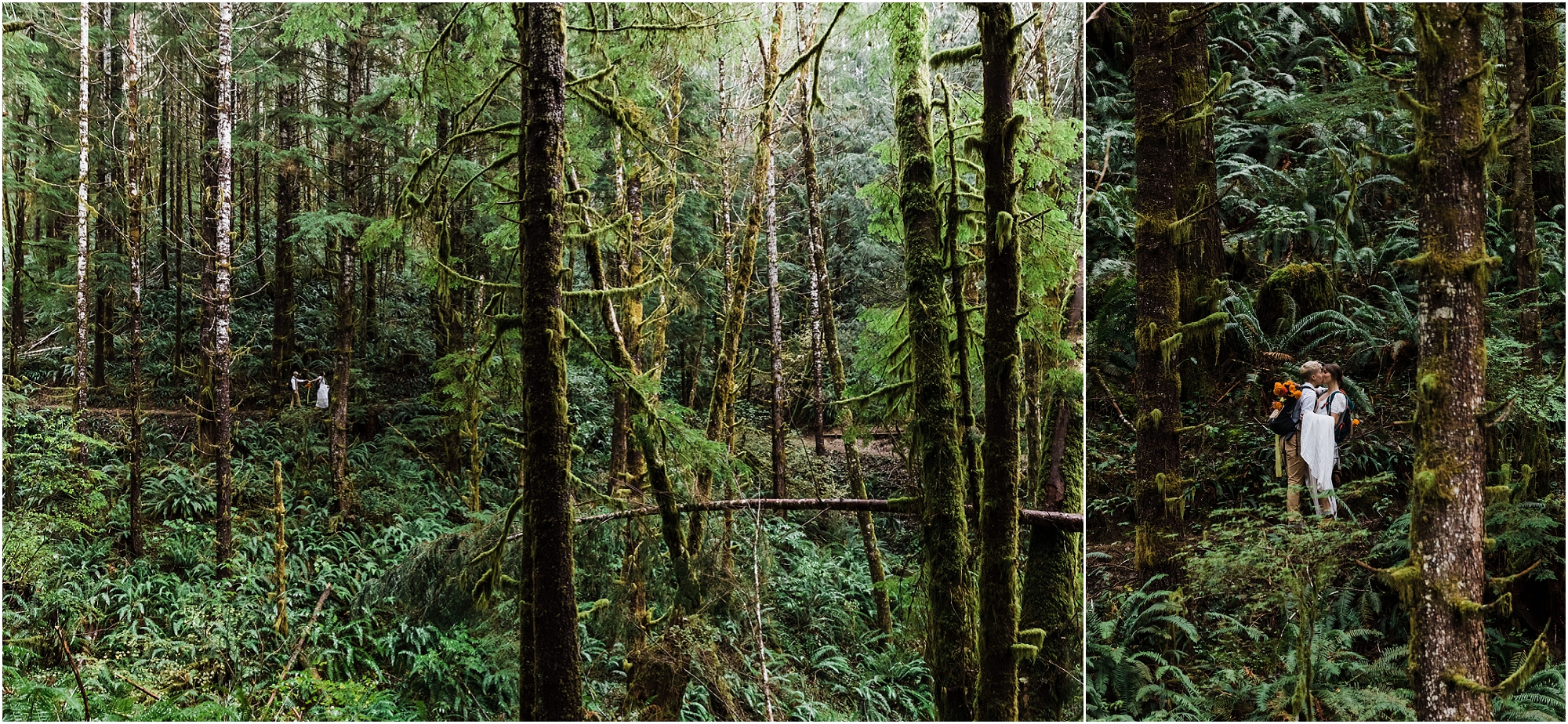 A gorgeous wide angle view of a couple hiking through the tall spruce trees and lush green fern slopes in their wedding attire on their Oregon elopement day. | Erica Swantek Photography