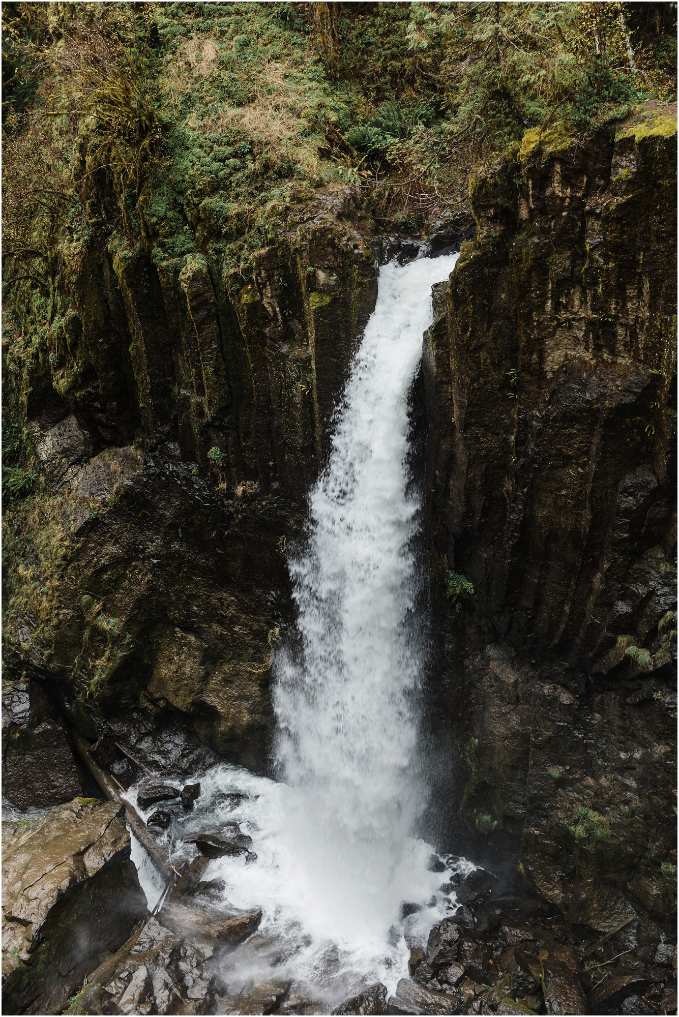 The picturesque Drift Creek Falls in Otis, Oregon. | Erica Swantek Photography