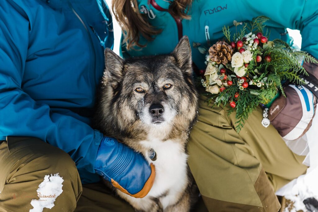 bride and groom in their ski gear during their ski elopement a mt bachelor, or, posing with their pup