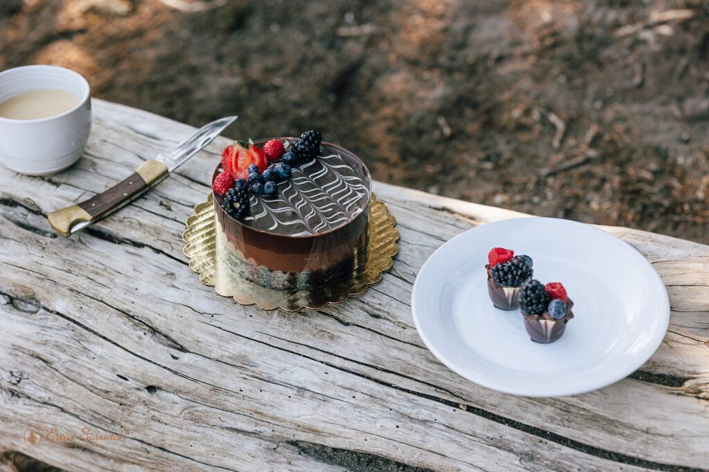 tiny picnic set up with a cute elopement cake