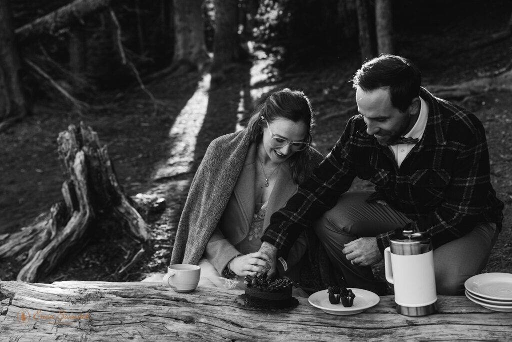 bride and groom cutting a small elopement cake during their elopement picnic 
