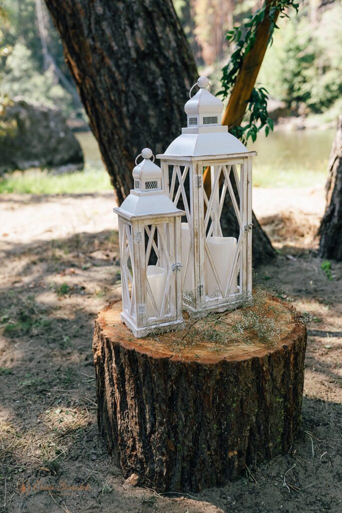 White lanterns on a tree stump. 