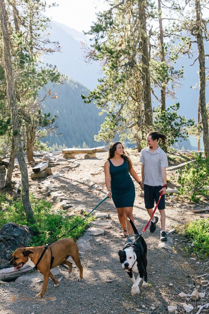 A couple walks their dogs along a dog-friendly hiking trail in Washington State.