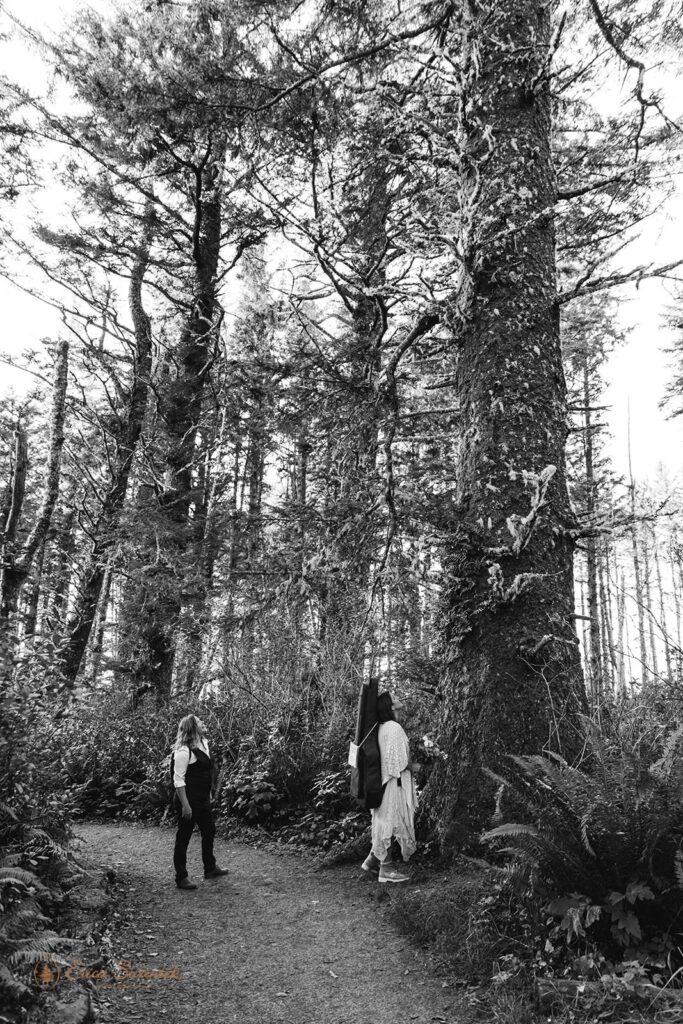 An hiking elopement couple admires the large Sitka Spruce's in Cape Perpetua.