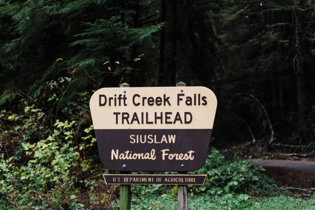 Drift Creek Falls Trailhead in Siuslaw National Forest. 