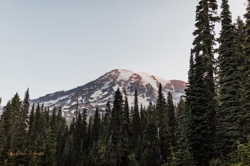 Mt. Rainier from a hiking trail at Sunset. 