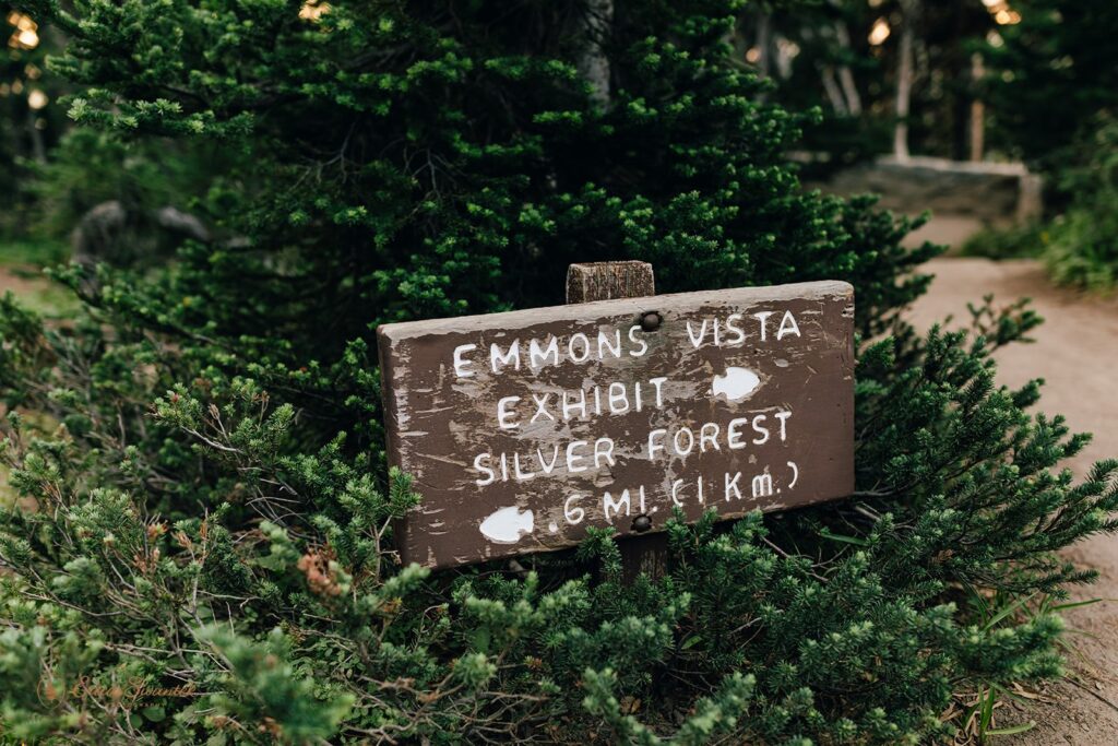 A trail sign directing National Park visitors how Emmons Vista Exhibit and Silver Forest Trail may be accessed. 