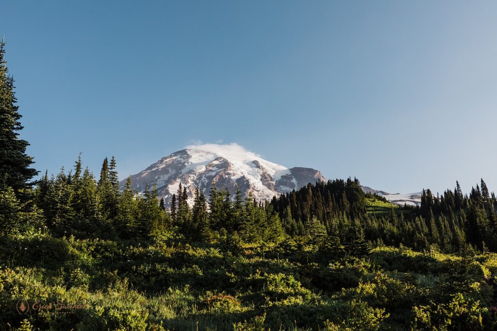 Mt. Rainier on a clear, sunny day from a National Park hiking trail near Reflection Lakes. 