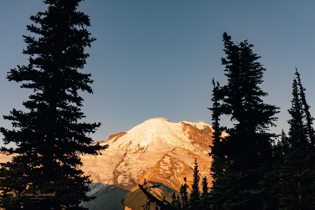 Mt. Rainier at Sunrise from a trail in the National Park. 