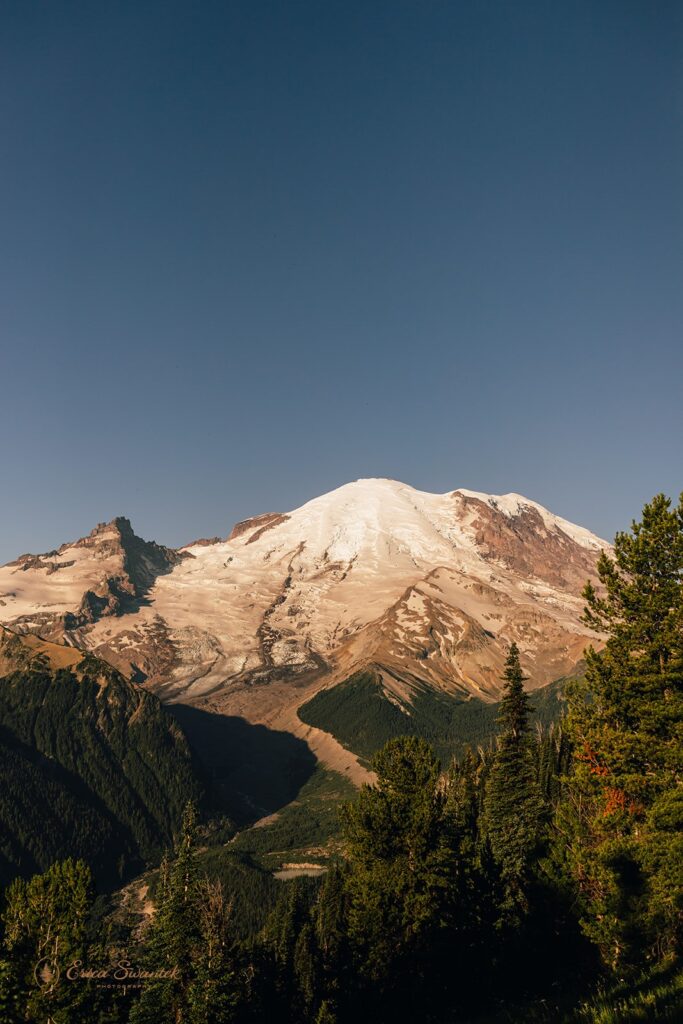 Mt. Rainier from an overlook in Mt. Rainier National Park. 