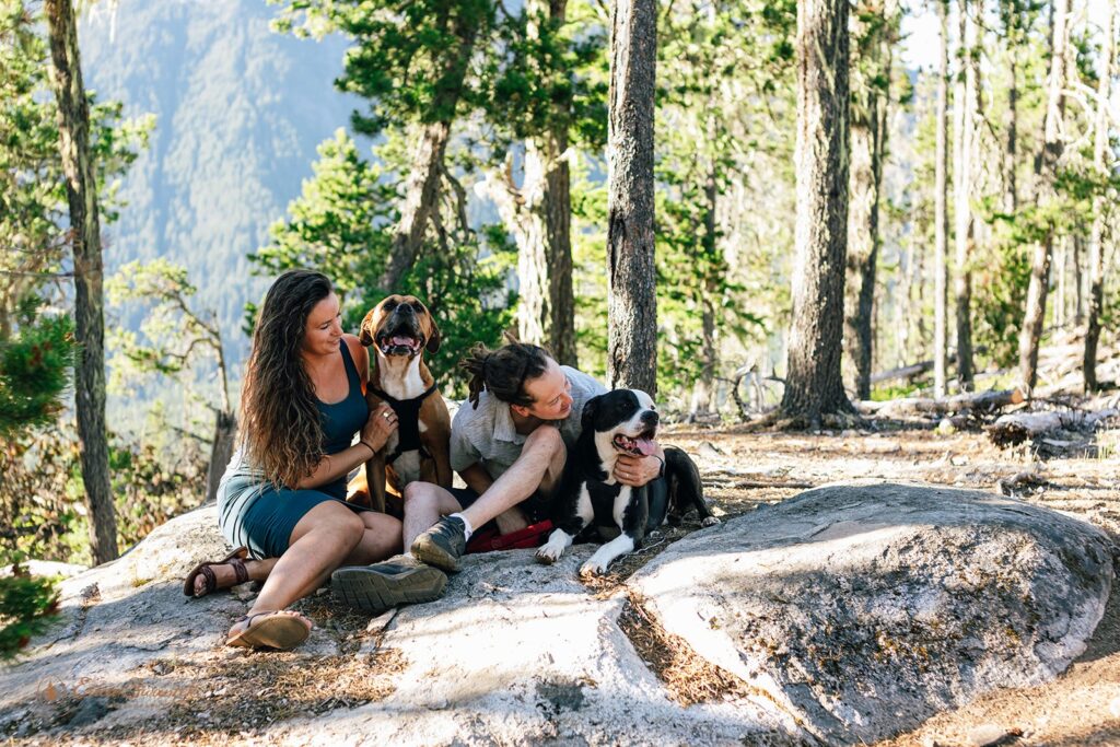 A couple poses with their dogs at Thunder Knob during a North Cascades couples session. 