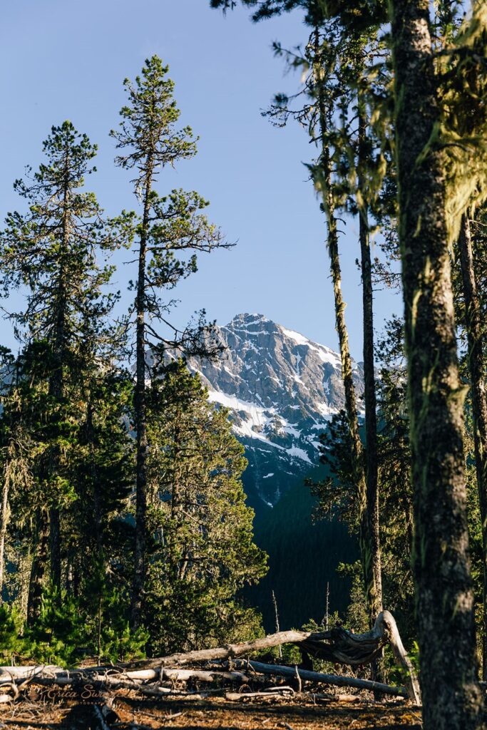 A mountain peak of the North Cascades near Thunder Knob. 
