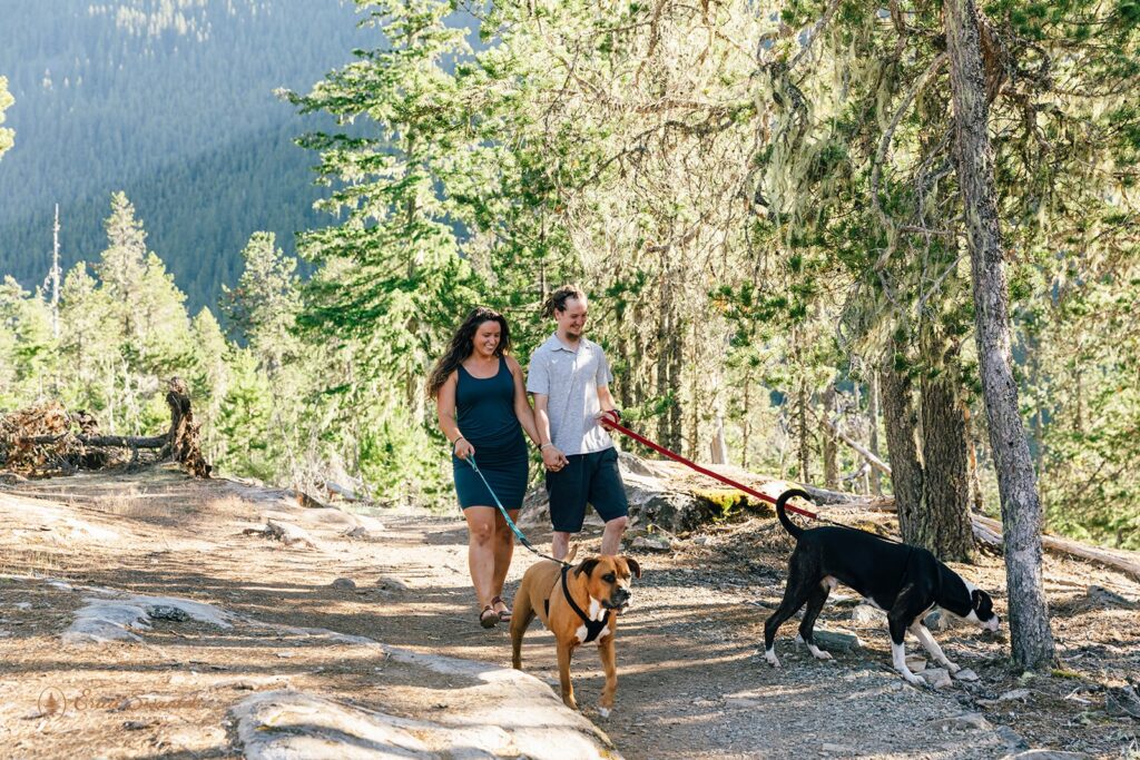 A couple walks their dogs along a hiking trail at Thunder Knob in the North Cascades. 