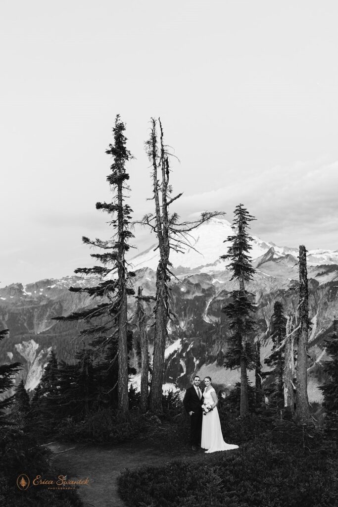 A couple poses for an outdoor wedding portrait at Artist Point in Washington. 
