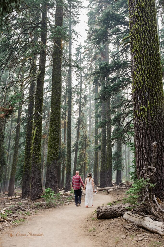 A Pacific Northwest elopement couple holds hands while walking through a forest in Crater Lake National Park. 