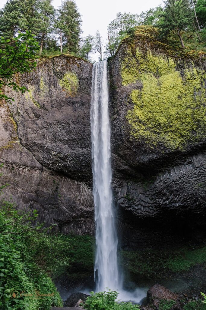 Latourell Falls plunges down a mossy, rocky cliff in the Columbia River Gorge in Oregon. 