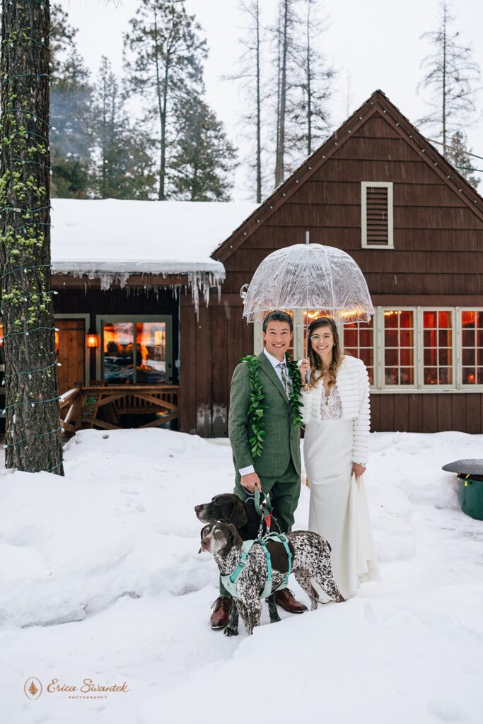 Bride and groom stand hand in hand in front of a snow-covered cabin under a clear umbrella holding their two dogs in leashes. The groom wears a green suit with a leaf lei, while the bride wears a white lace dress and holds a colorful bouquet.