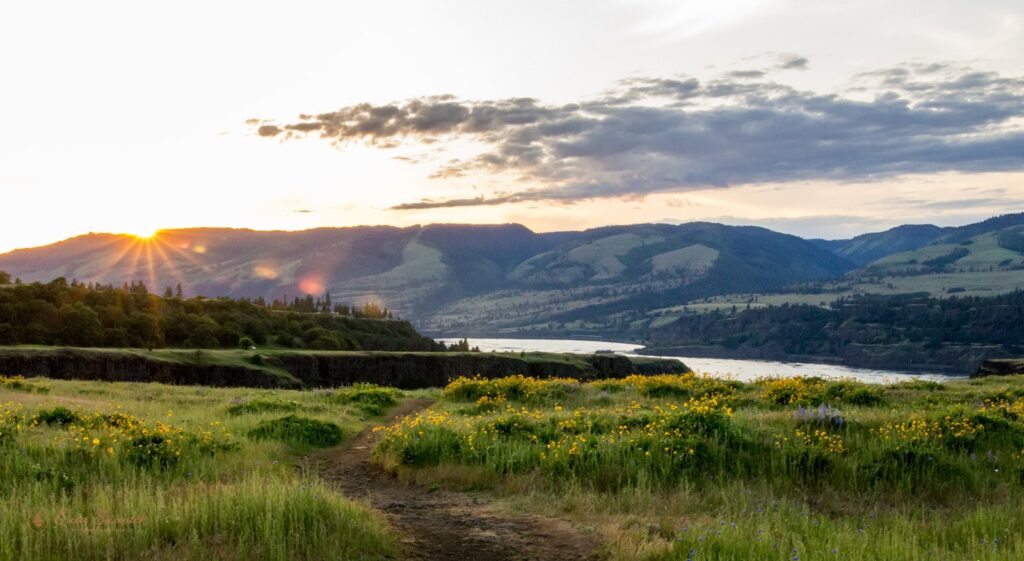 rowena crest landscapes at columbia river gorge