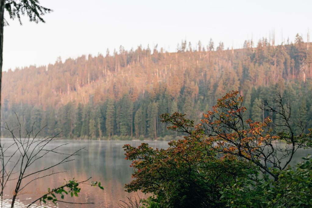 Sunrise over Suttle Lake in Oregon.