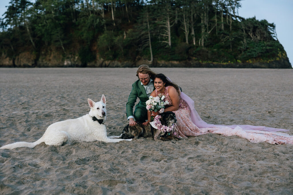 wedding couple with dogs on the beach