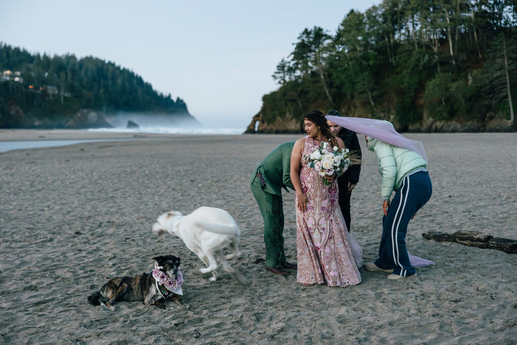 A bride has help with her dress and veil as her dog runs around the beach at their Oregon Coast Elopement.