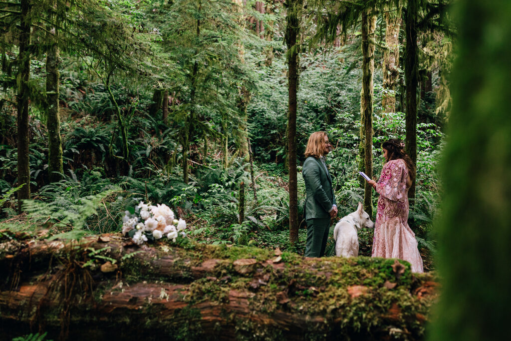 A couple reads private vows in the rainforest outside of Neskowin, Oregon.