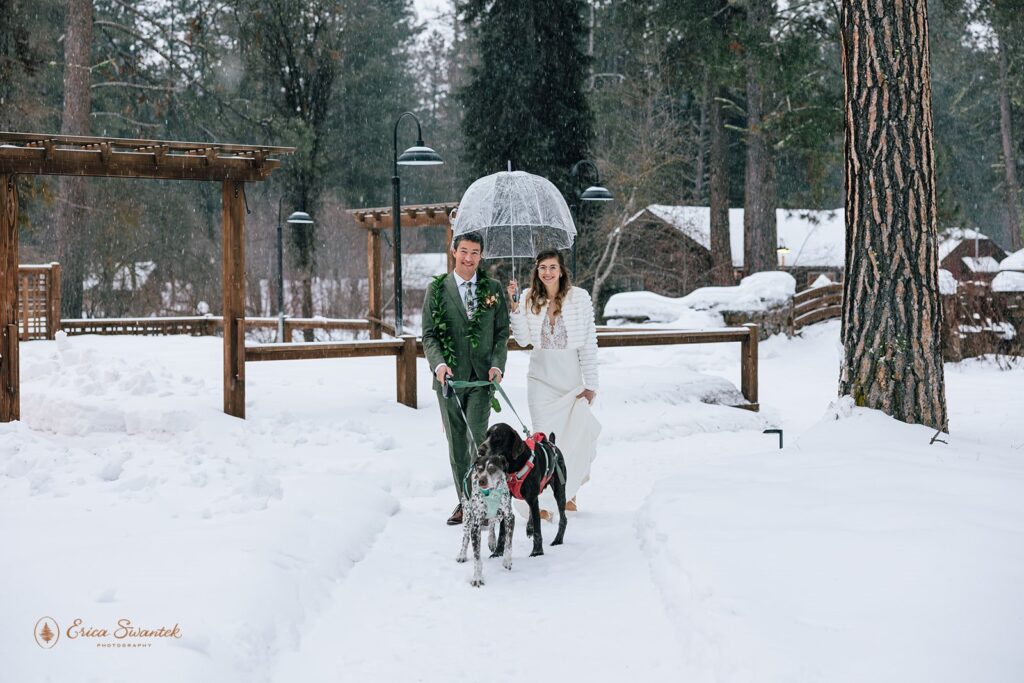 romantic newly wed portraits outdoor in the winter