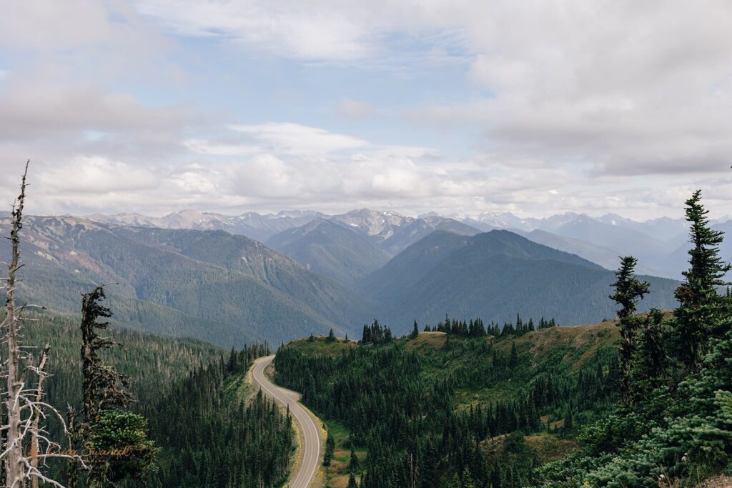 hurricane ridge landscapes