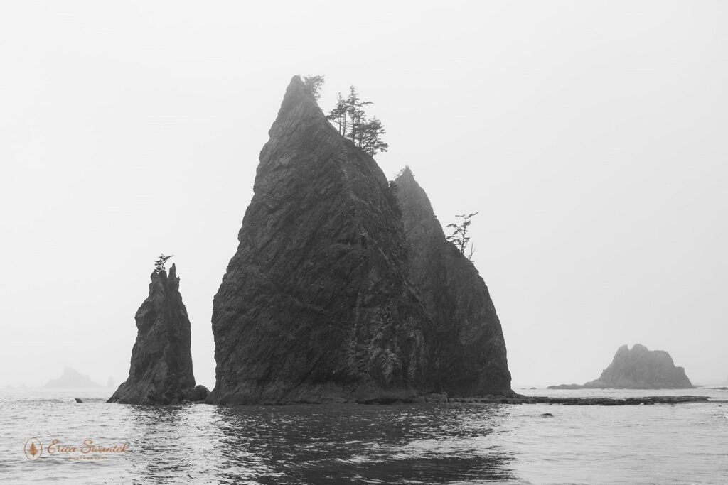 rialto beach covered in moody fog