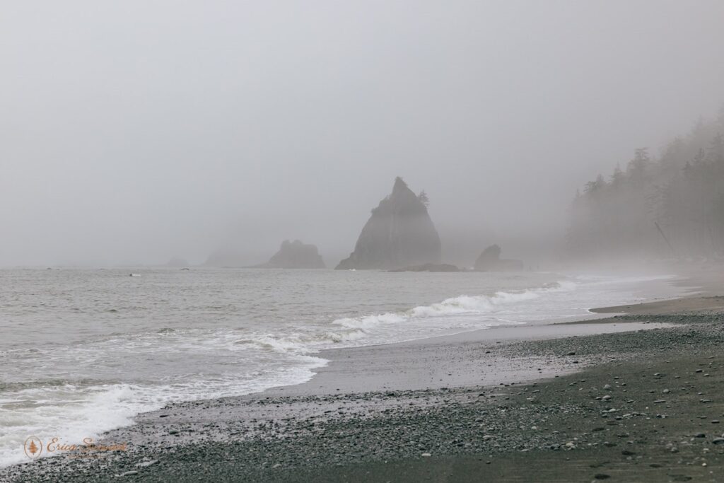 rialto beach covered in moody fog