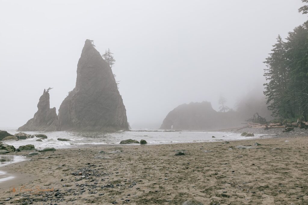 rialto beach covered in moody fog