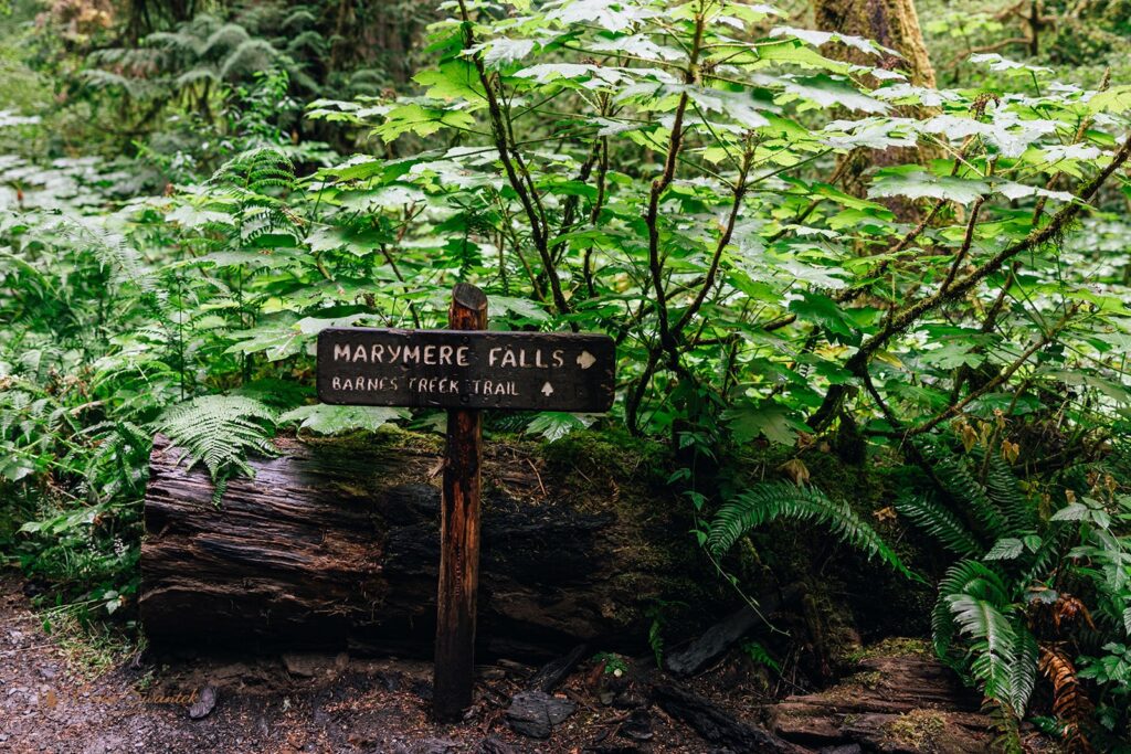 sign to marymere falls onp