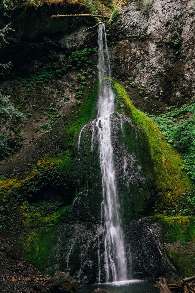 a small waterfall in olympic national park