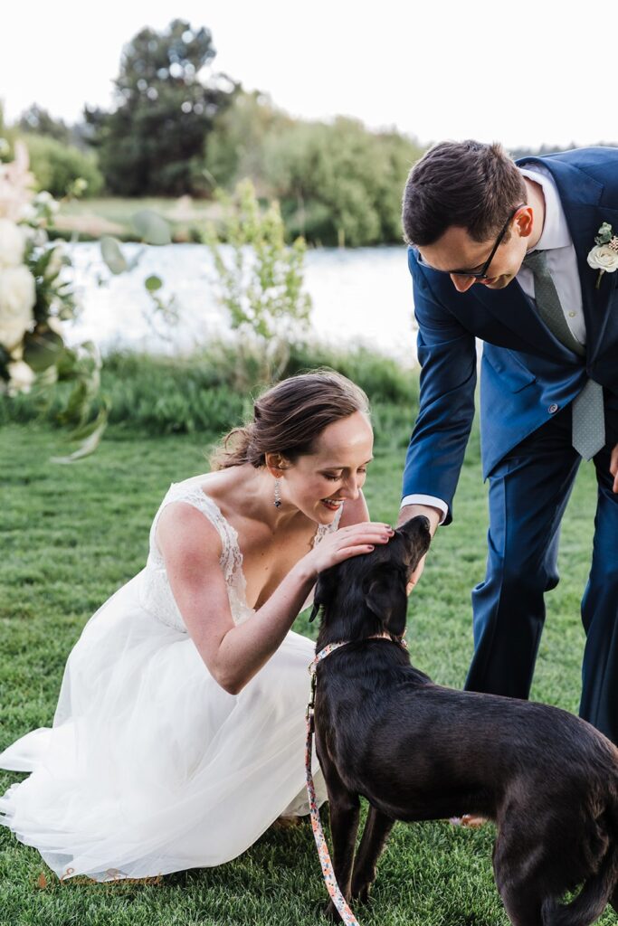 elopement couple cuddling their dog