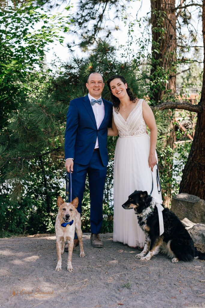 bride and groom posting with their two cute dogs